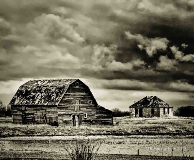 This Old Barn (1 of 1).jpg