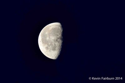 Moon January 22 2014 (1 of 1).jpg
