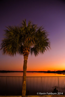Sunset with a Palm tree. (1 of 1).jpg