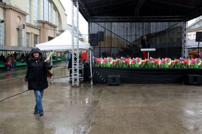 08.03.2016