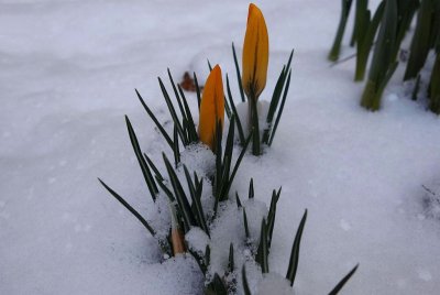 21.03.2016