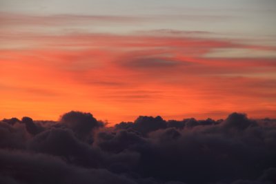 IMG_7588.jpg