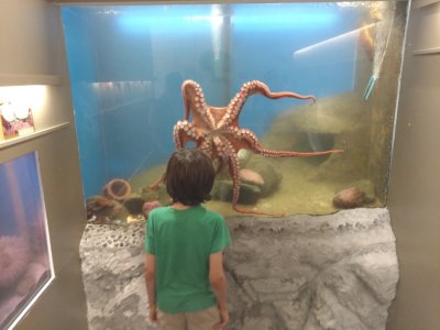 IMG_20160812_163955154.jpg