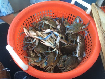 09-2015 Fishing & Crabbing 