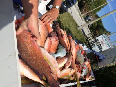 Florida Fishing