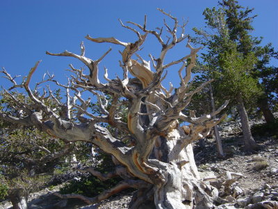 DSC00013.JPG