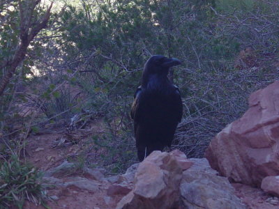 DSC00064.JPG