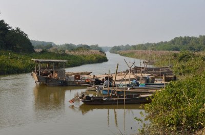 Qiao Dao Wetland