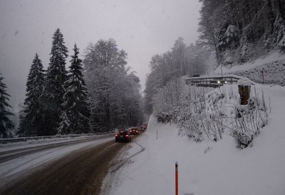 Lucerne