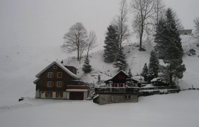 Lucerne