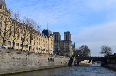 Seine River Bank