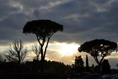 Florence