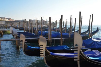 DSC_7064.jpg