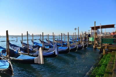 DSC_7072.jpg