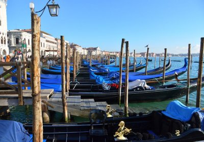 DSC_7119.jpg