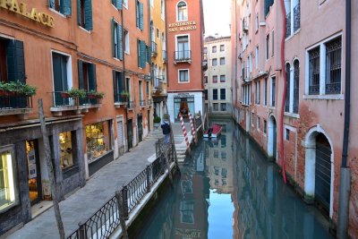 DSC_7135.jpg