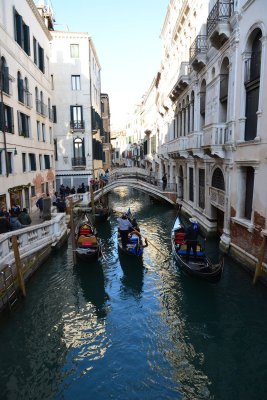 DSC_7161.jpg