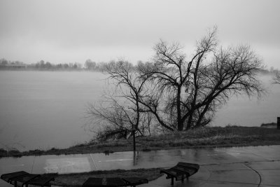 Clement Park Spring snowstorm April 13 B&W