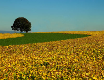 Landscapes & Nature