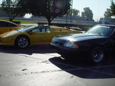 DSC07450.JPG