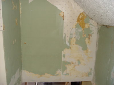 House 005.jpg