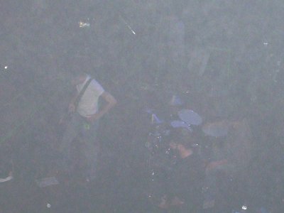 Staind 024.jpg