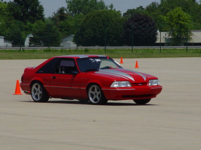 Winged Warrior 080.jpg