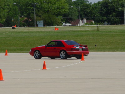 Winged Warrior 081.jpg