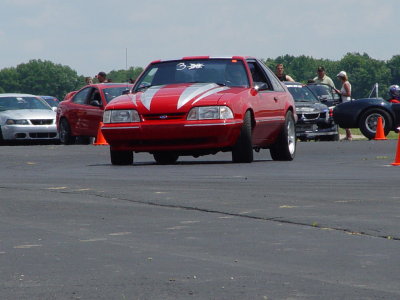 Winged Warrior 135.jpg