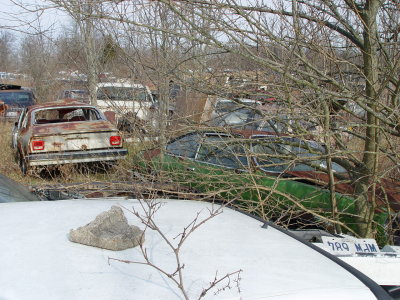 122006 061.jpg