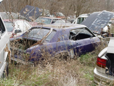 122006 097.jpg