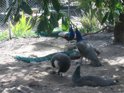 Vegas-Cali 023.jpg
