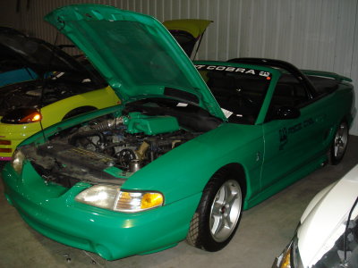 DSC00511.JPG