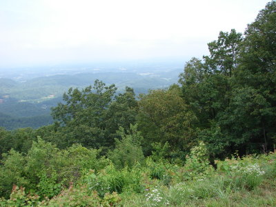 DSC00254.JPG