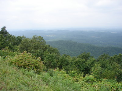 DSC00255.JPG
