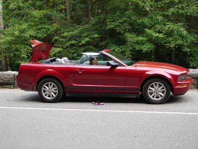DSC00258.JPG