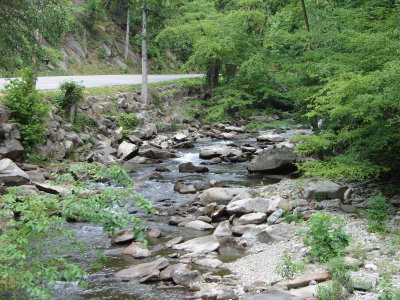 DSC00264.JPG