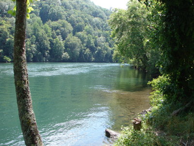 DSC00292.JPG