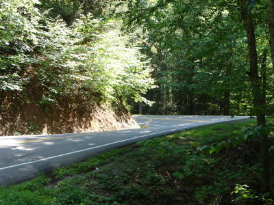 DSC00295.JPG