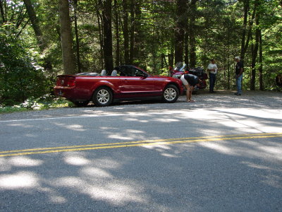 DSC00301.JPG