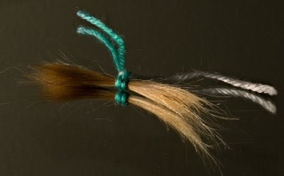 lock of Bertie's Hair 1.jpg