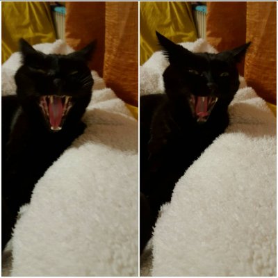 big yawn Buffy