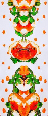 g9/71/53271/3/164569660.AQRbv4zq.jpg