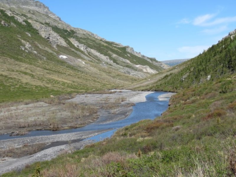 Savage River 