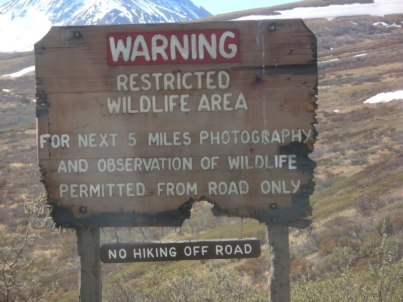 Warning Sign 