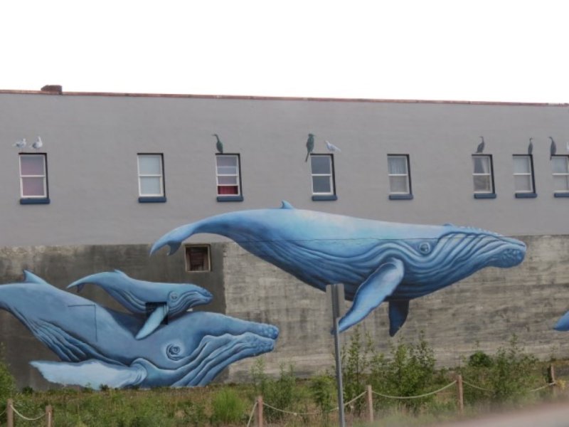 Blue Whales Mural near Sea Life Museum