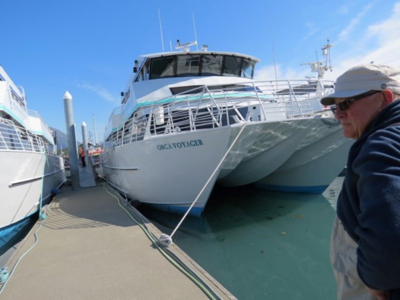 Our Catameran at Kenai Fjord