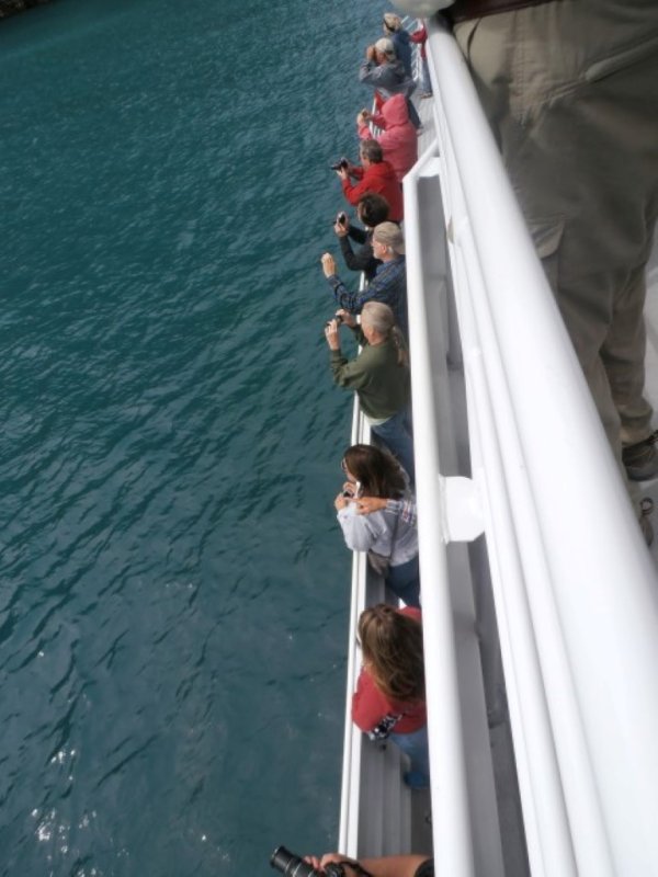  The boat 