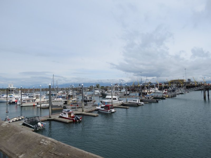 Fishing at Homer