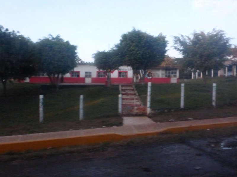 School - from the bus